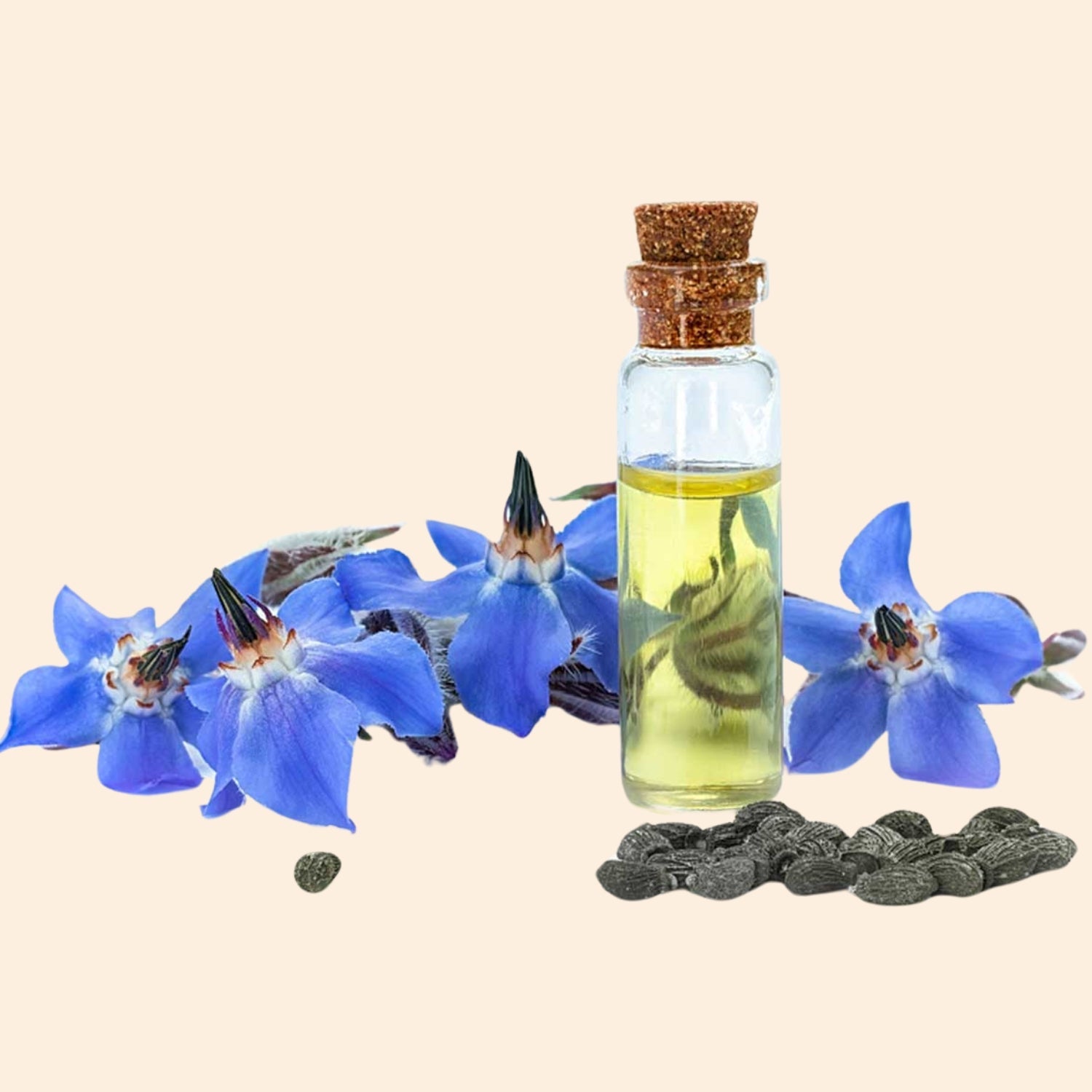 Borage Herbal Liquid Extract Borage Herbal Liquid Extract